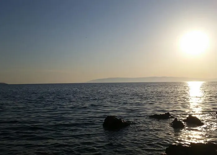 Diminic Melin * Cres