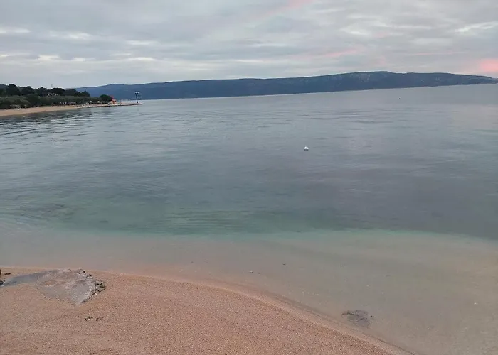 Diminic Melin 크레스